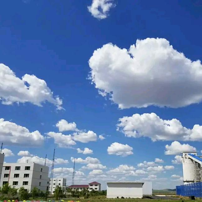 喜洋洋（兔子）