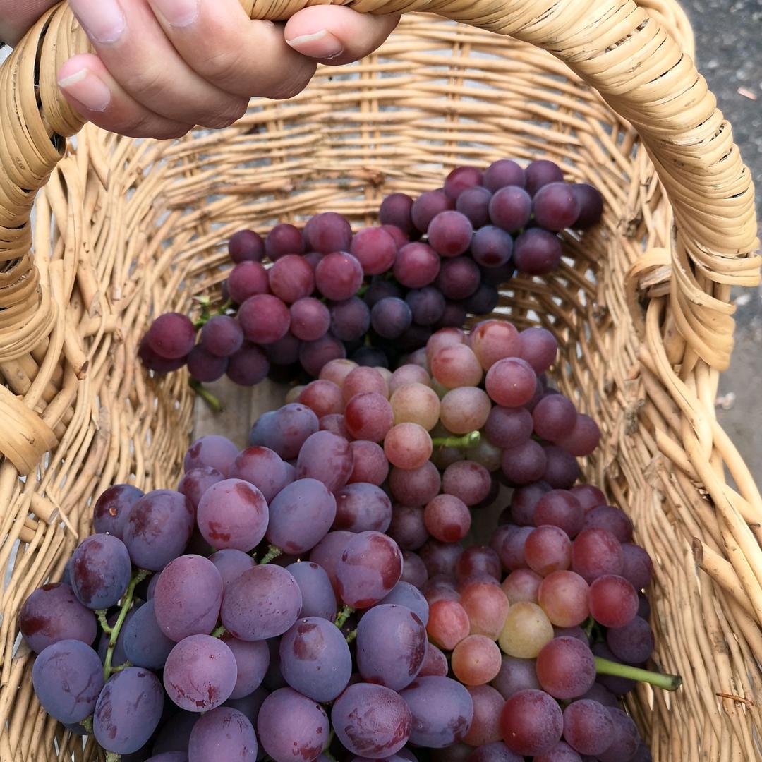 青春不散
