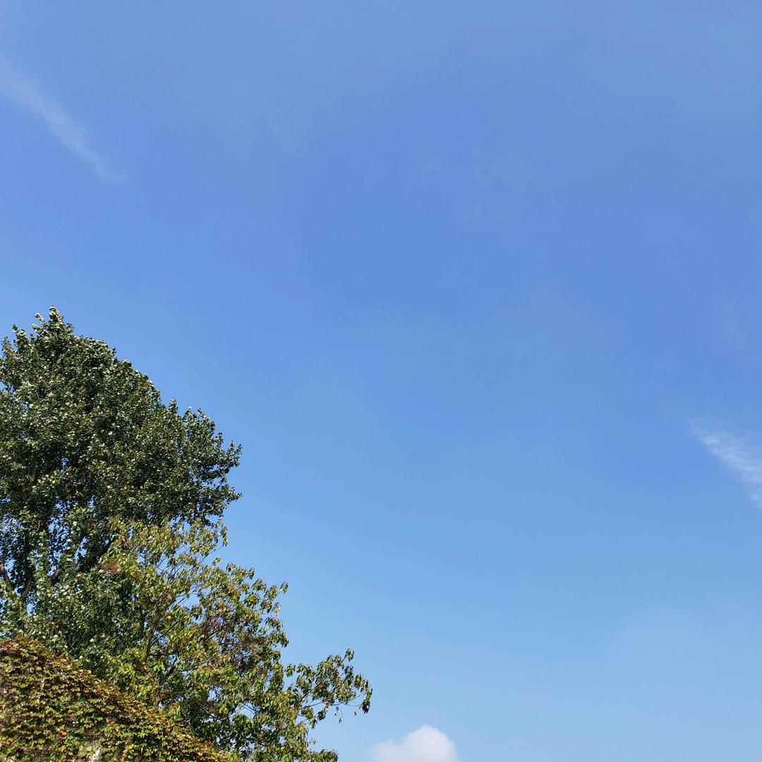 南村大少
