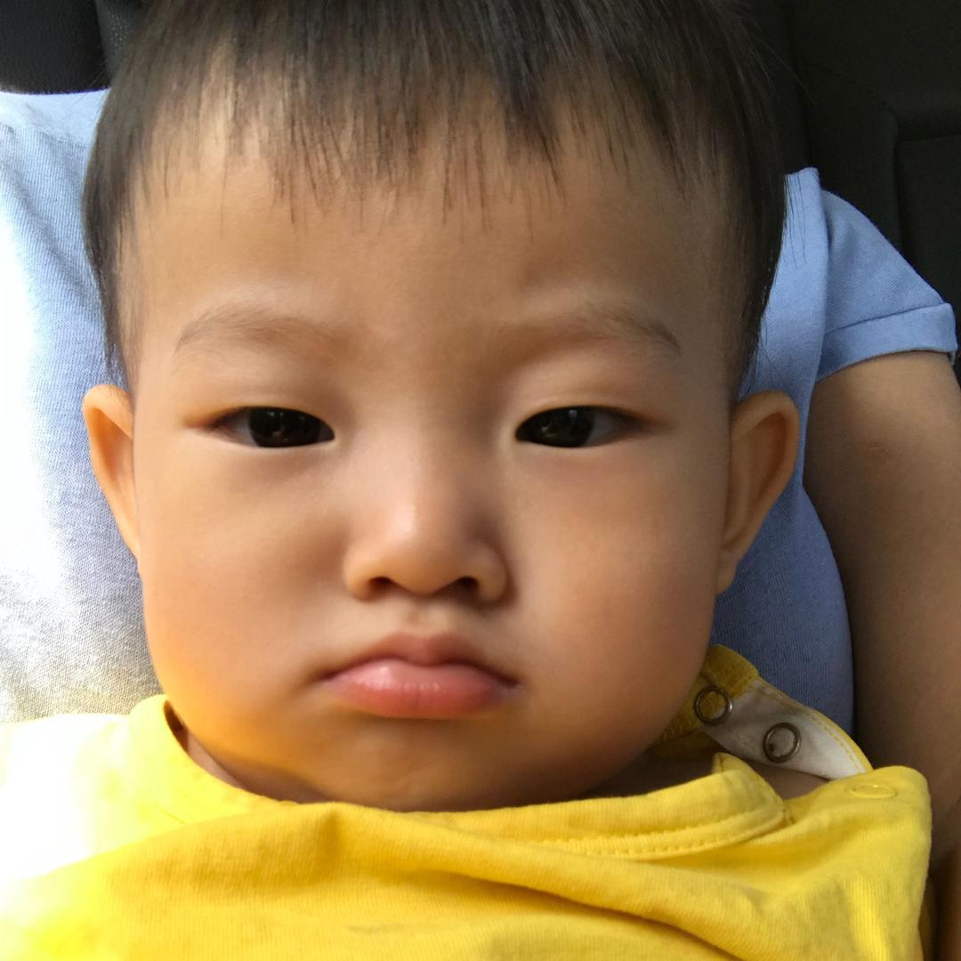 懒懒喵
