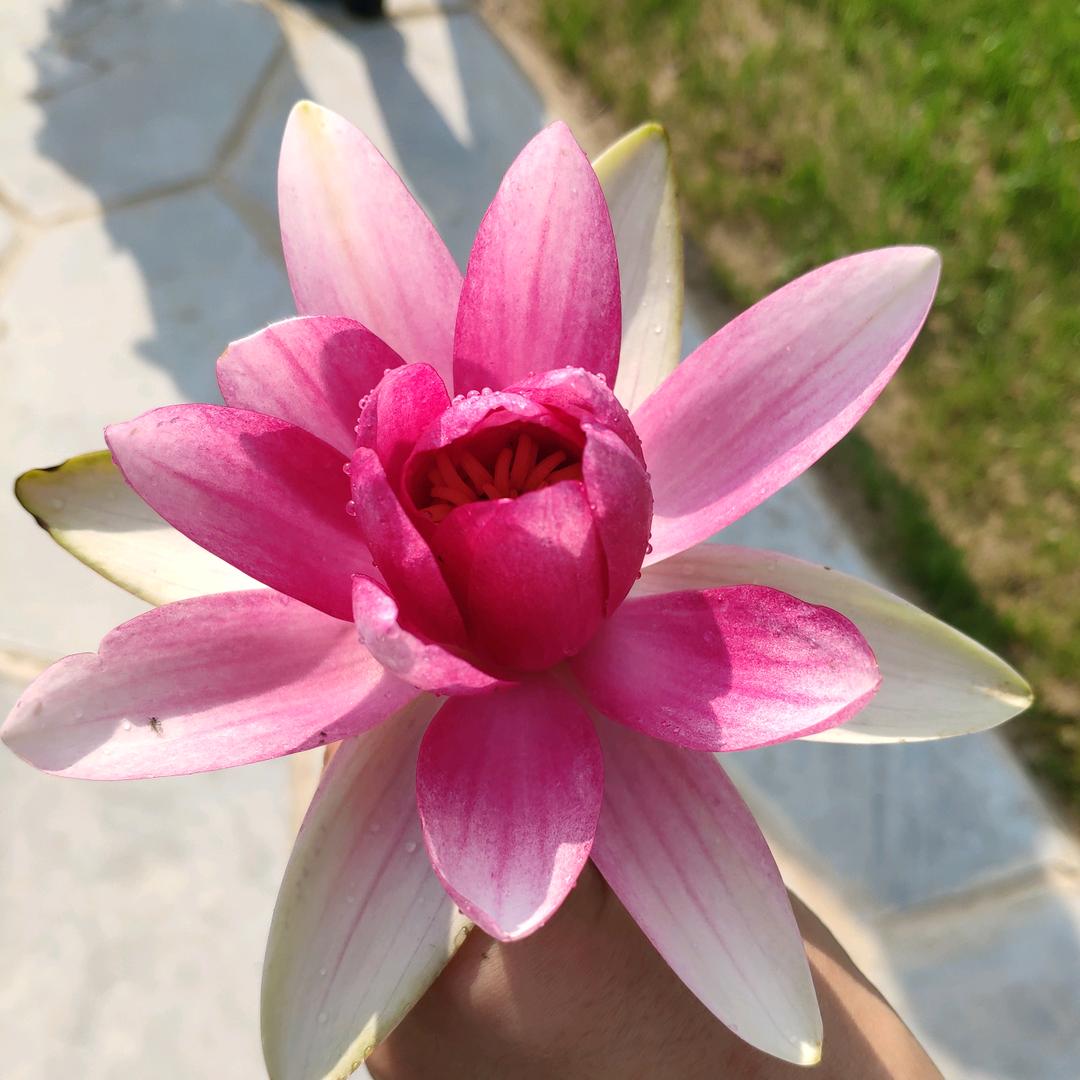 岁月神偷@