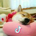 思念^～^