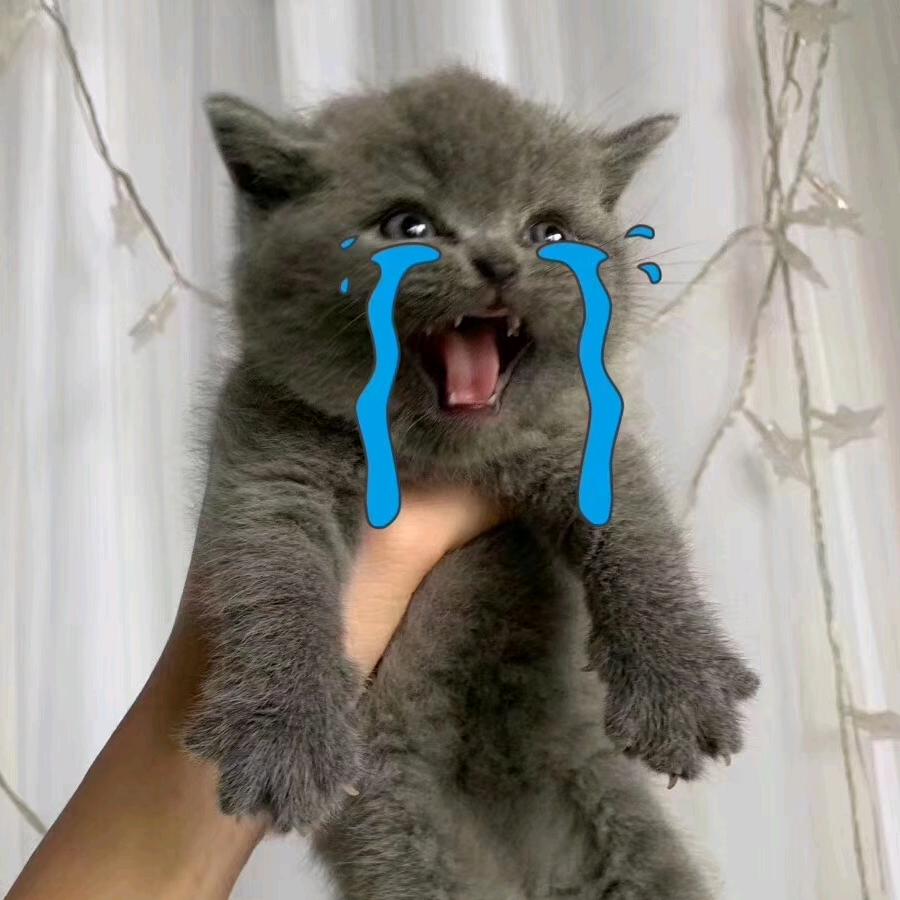 婷婷