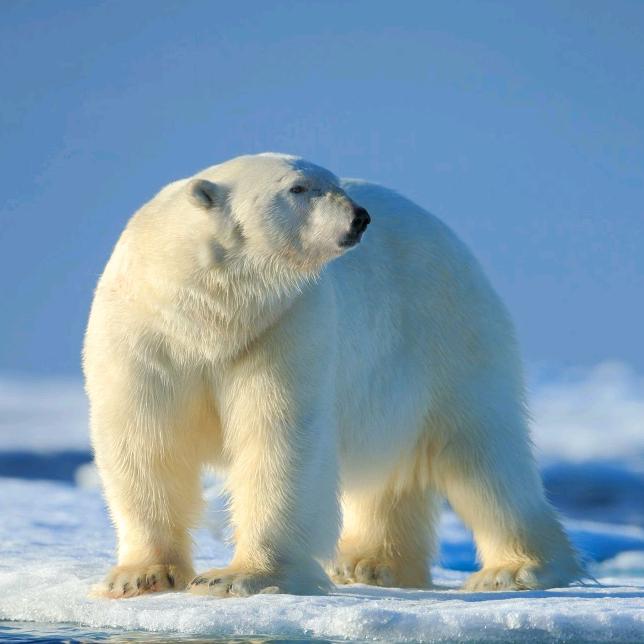 路顺车业售后维修中心官方号