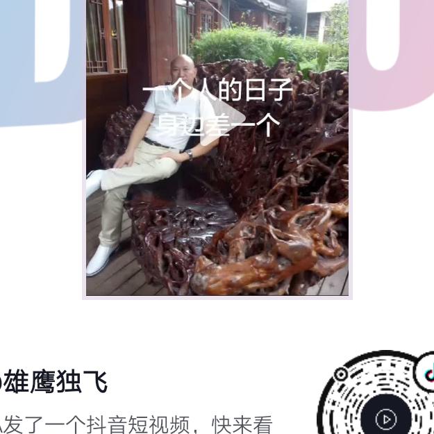 雄鹰独飞