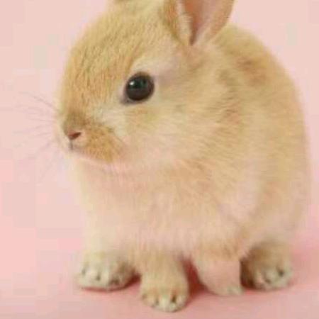 用户18786103380~桂