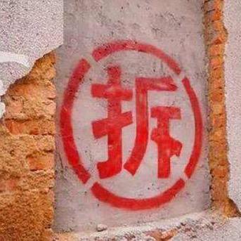 拆家小白鼠