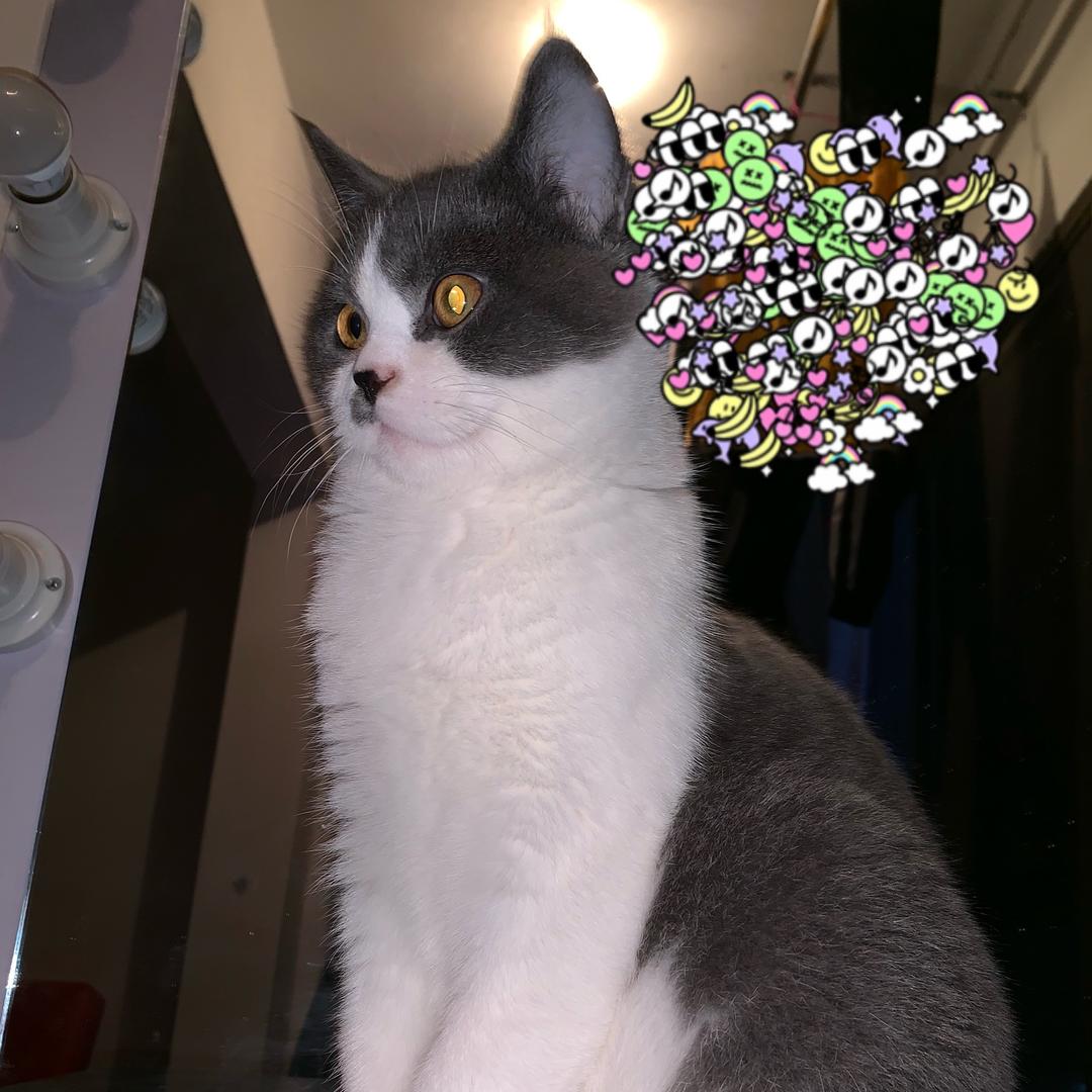 四川省泸州市叙永县理想种业