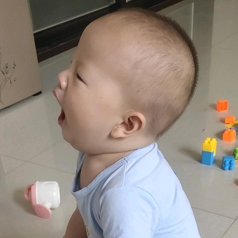 家有俩宝贝