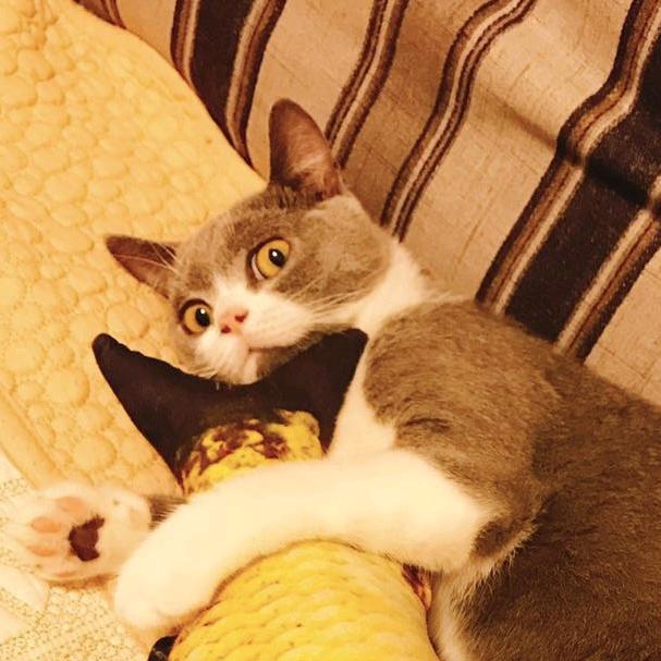 吸一口包子（重生版）