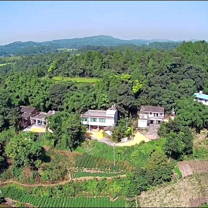 人若为初见？，简阳三合