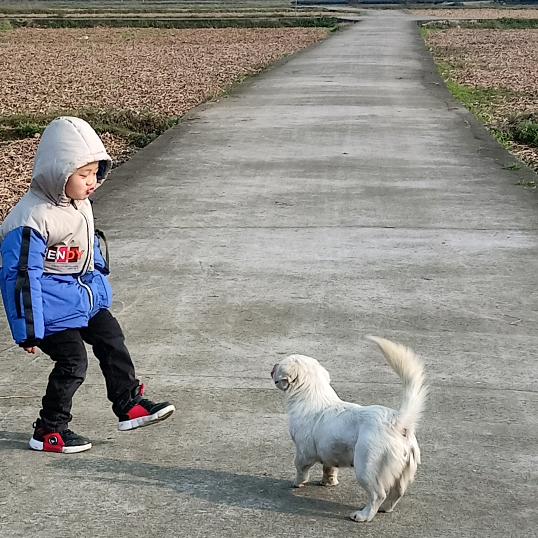加油