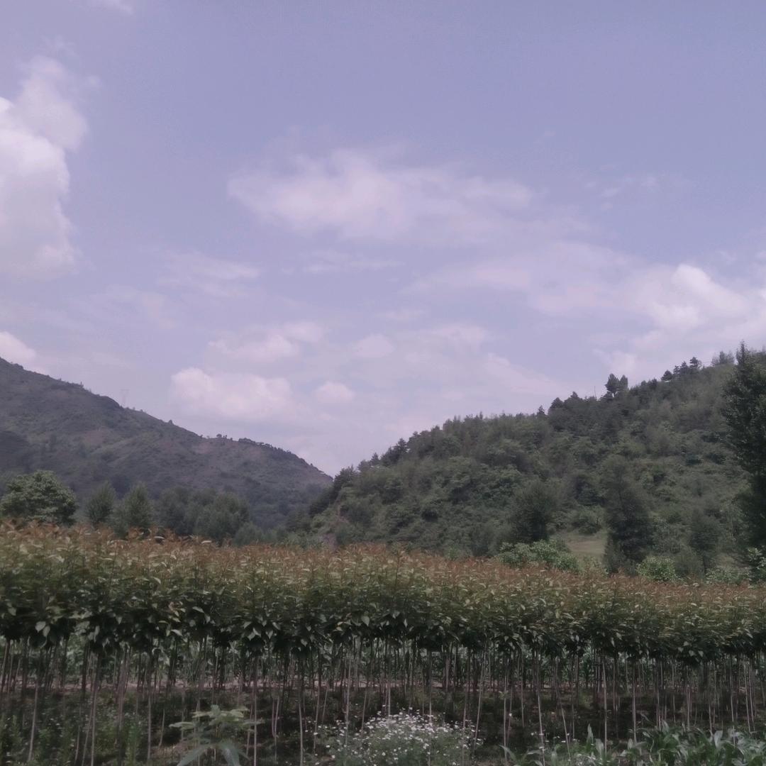 何