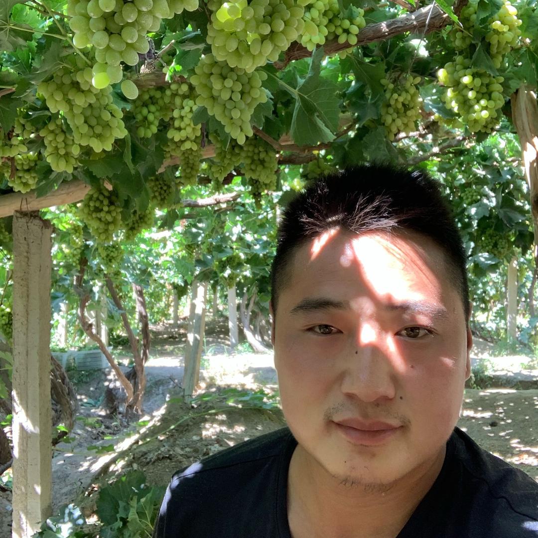 疆农小付