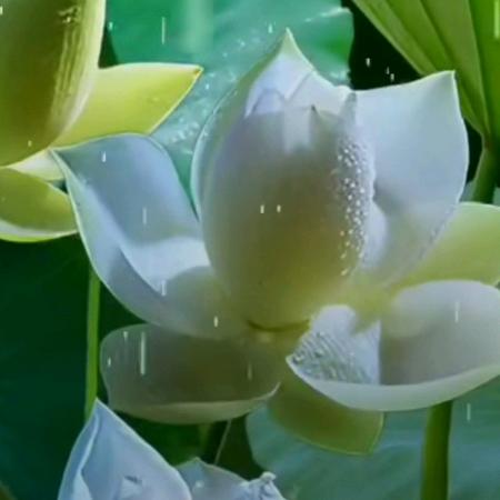 谁懂我心