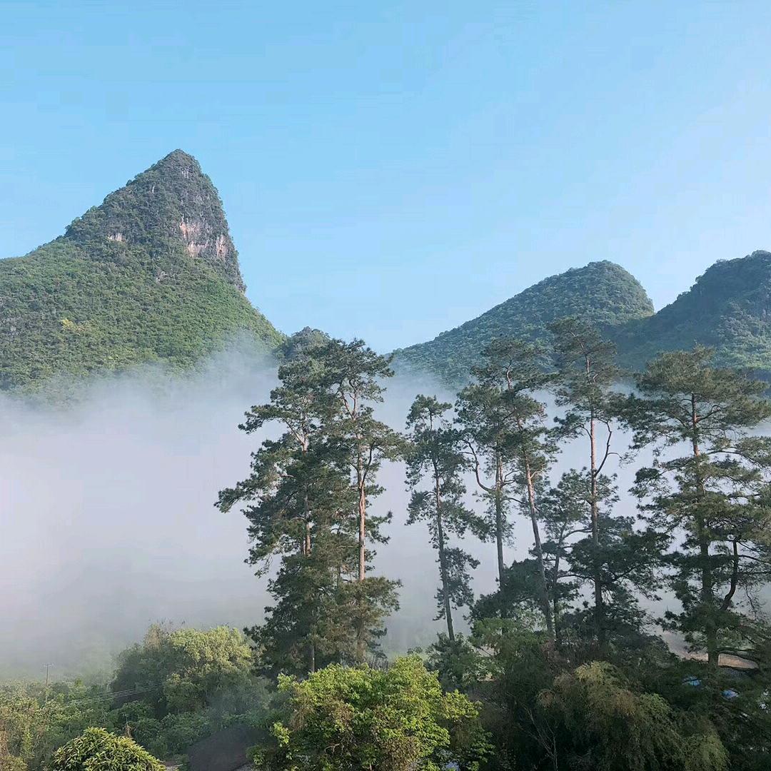 素青🇨🇳🇨🇳