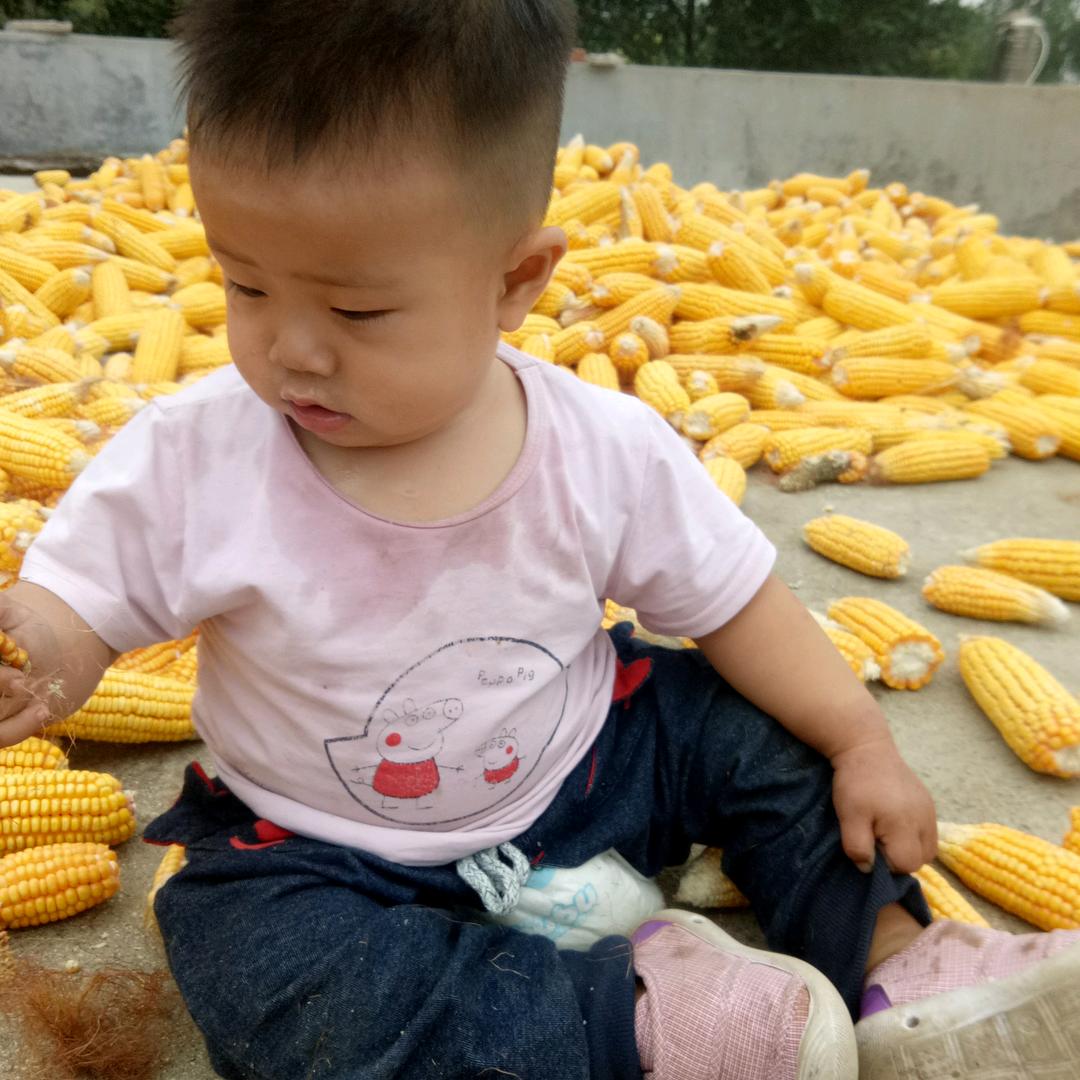 爱你一辈子