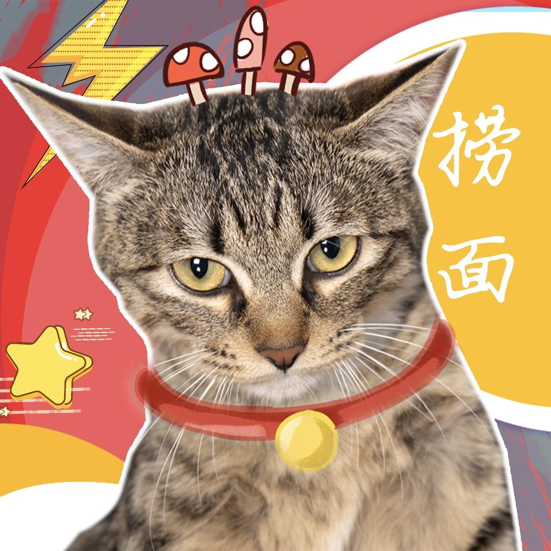 🍄蘑菇桐只捞面