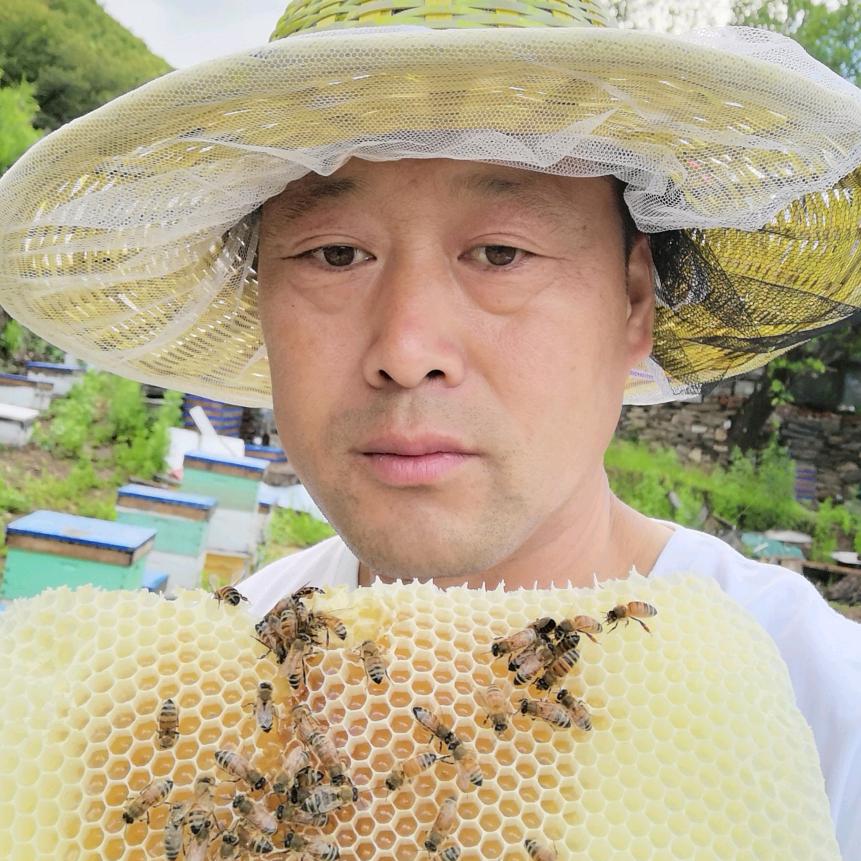 东北蜜哥高品质椴树蜜
