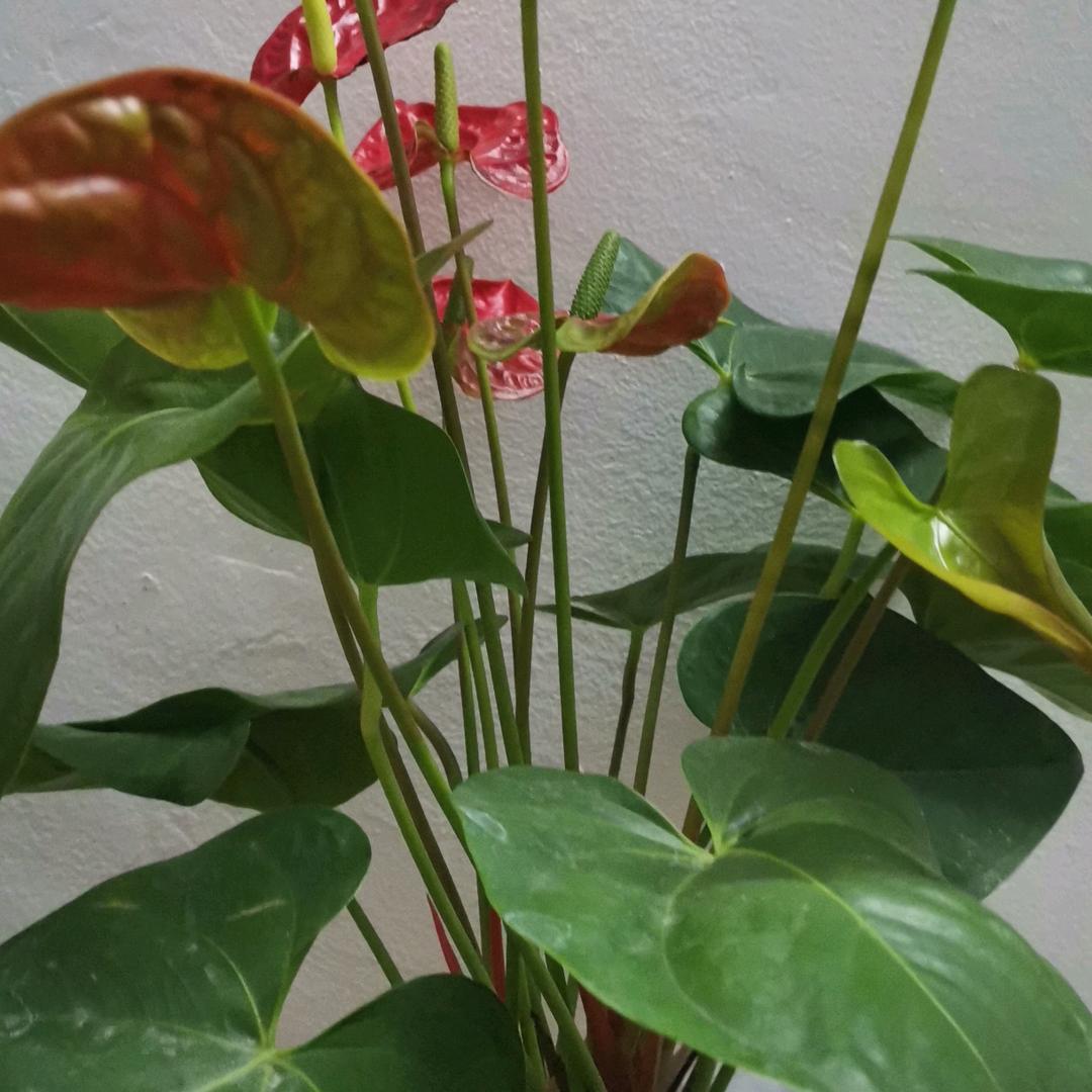 用户710525734526三哥