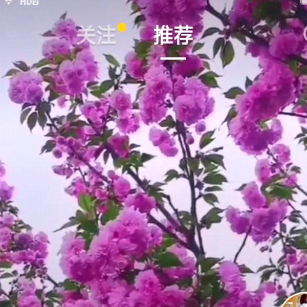 顺其自然。