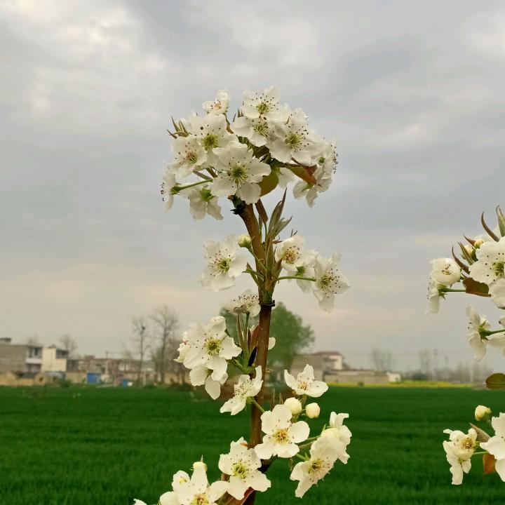 好好干活