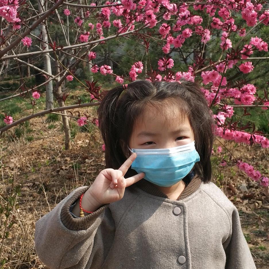 新凡沂菲