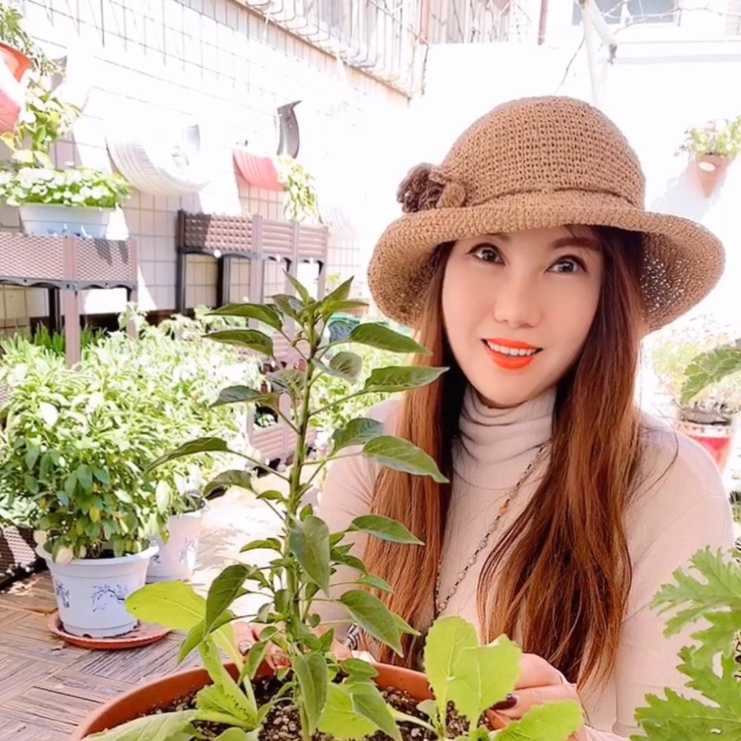 乐众青山农资优选