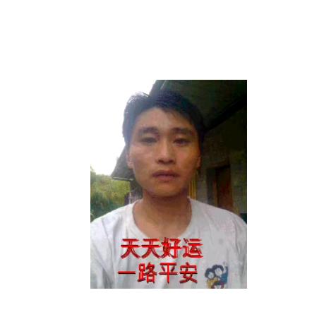 RP7385436065