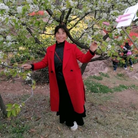 黄甲梦想舞蹈队