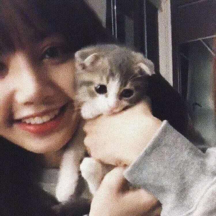 青菜炒鱼