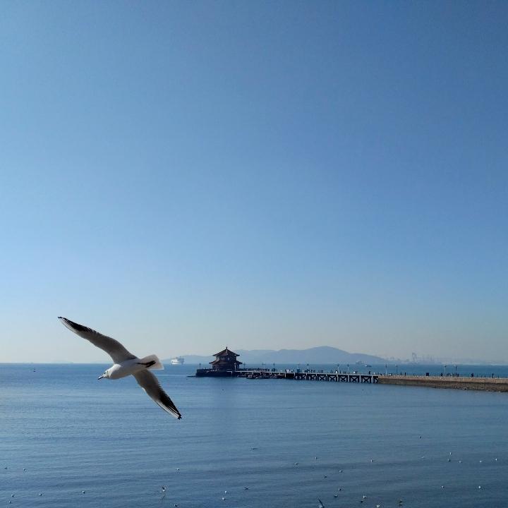 岛上的风