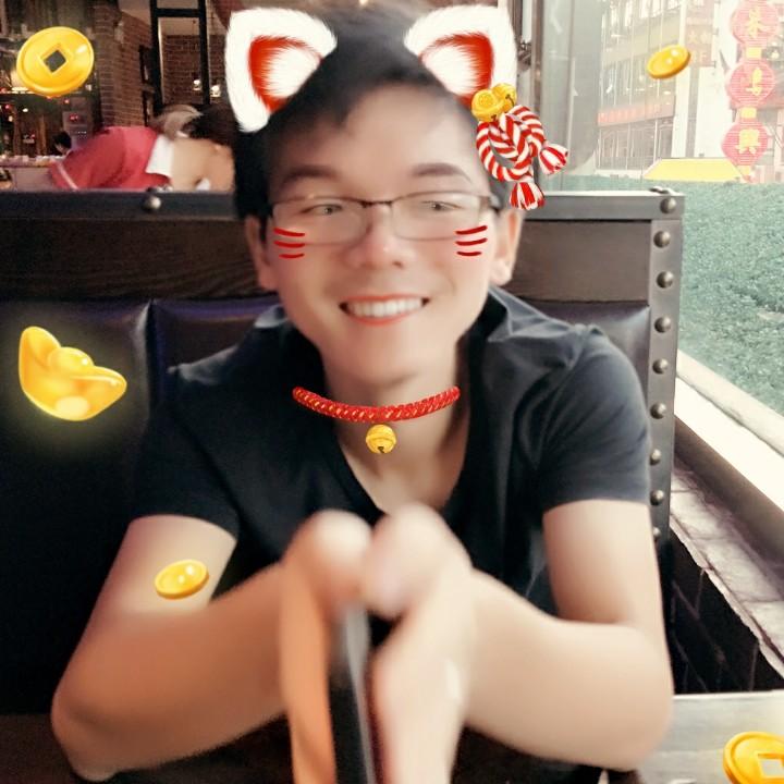 两个灰灰
