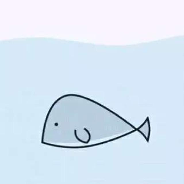 🌈🐟会飞的鱼🐠🌈