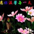 邂逅6784