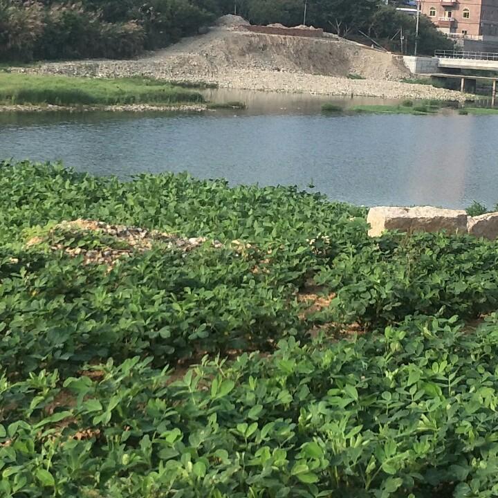 瑞哥