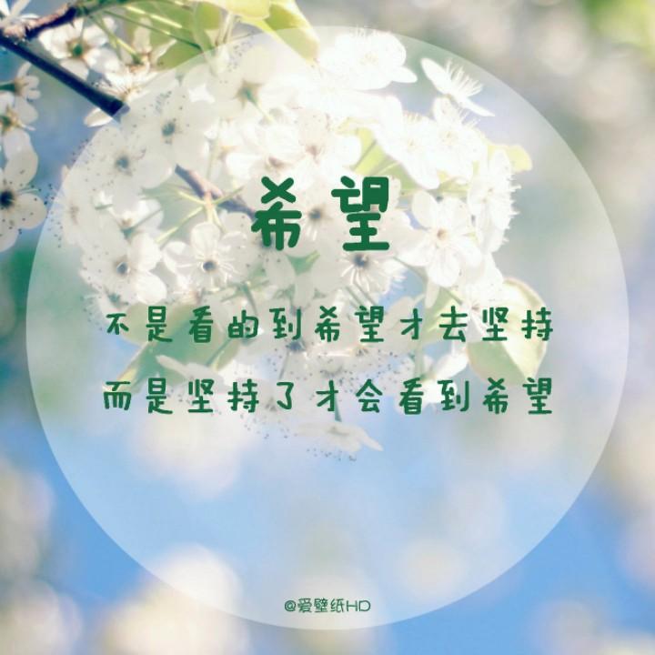 斌雄