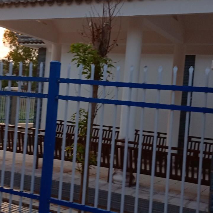 思念