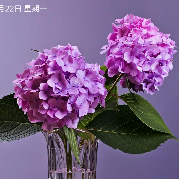 幸运🥰🥰🥰🥰相随