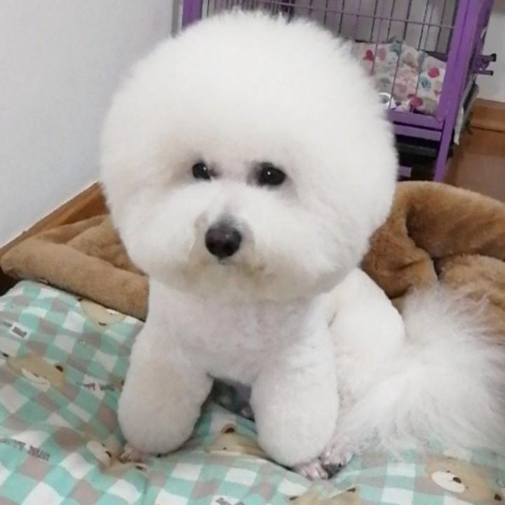 @老粗超爱吃