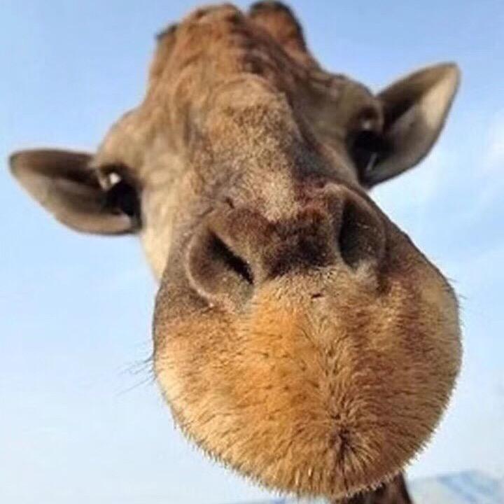 吾昂王🌟