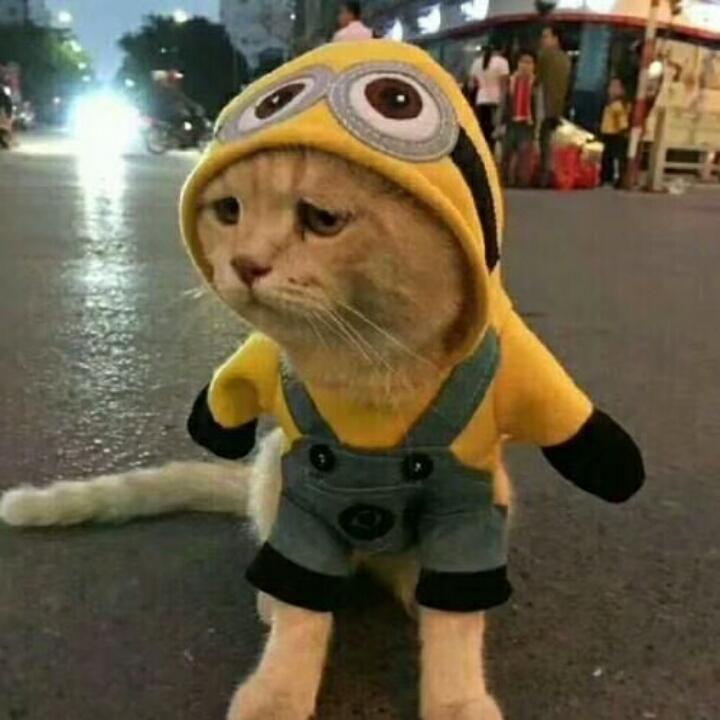 T☜温☆柔☆给☆你☞T