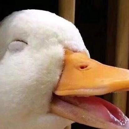 嫒嫒