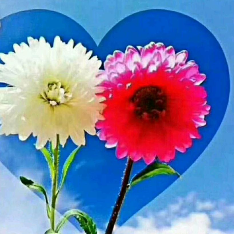 〖བློ་🌹桑🙏ཚུལ🌹成〗