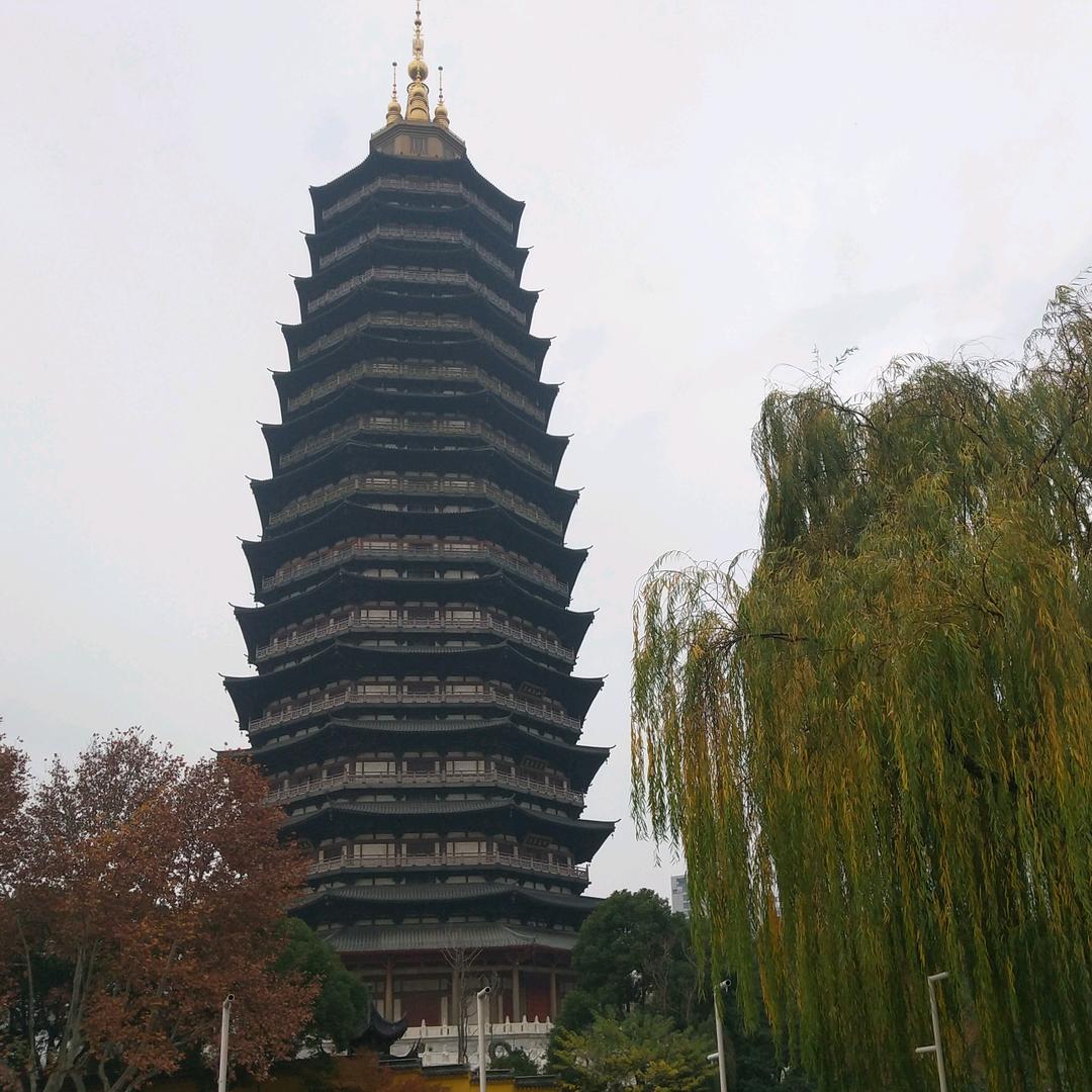 岁月如逝
