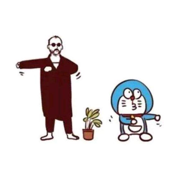 种鱼的猫