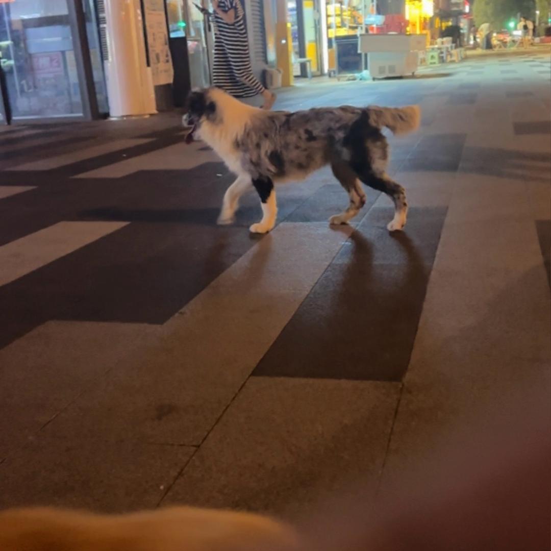 栾暝
