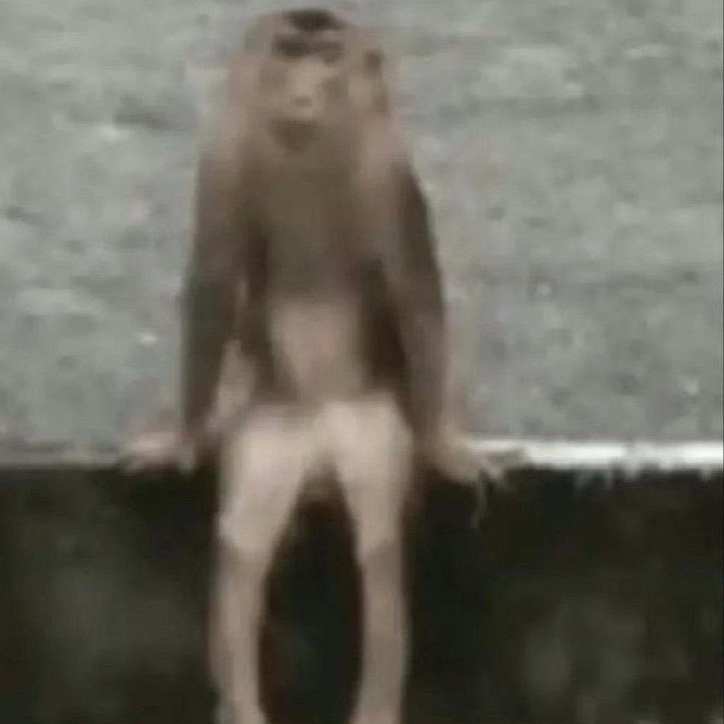 史吗喽