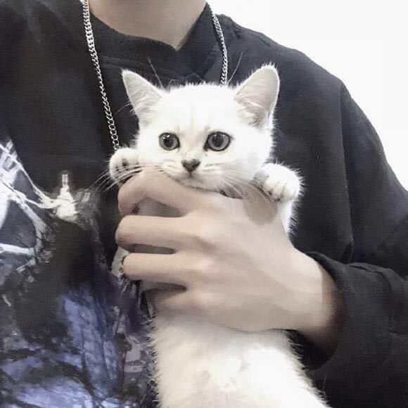 小小🍼