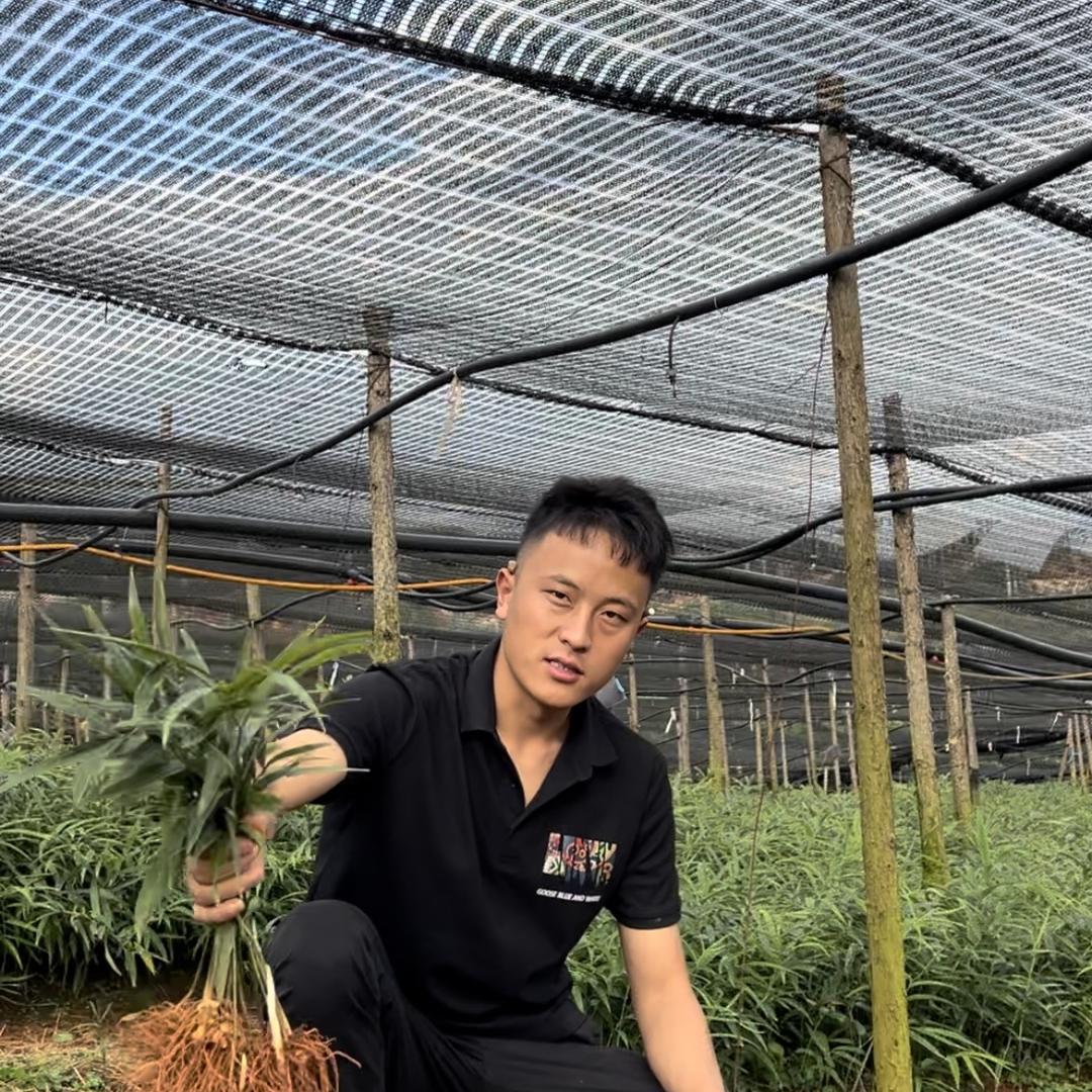 鑫禾（种地人）